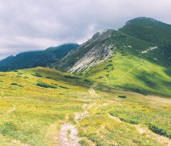 黑科技一键呼叫轰炸